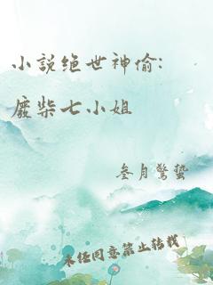 小说绝世神偷:废柴七小姐