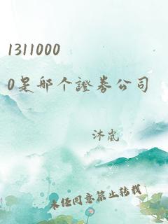 13110000是哪个证券公司