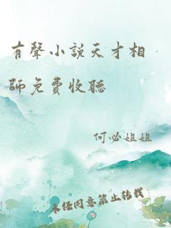 有声小说天才相师免费收听