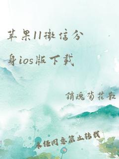 苹果11微信分身ios版下载