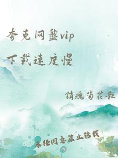 夸克网盘vip下载速度慢