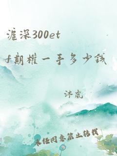 沪深300etf期权一手多少钱