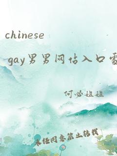 chinese gay男男网站入口处