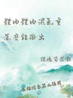 体内体内湿气重怎么能排出