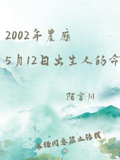 2002年农历5月12日出生人的命运