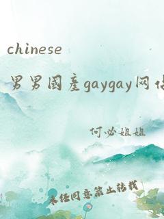 chinese男男国产gaygay网站