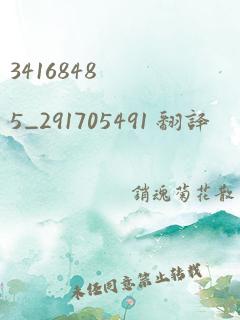 34168485_291705491 翻译