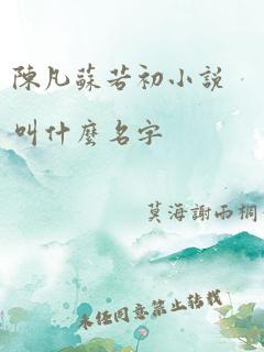 陈凡苏若初小说叫什么名字