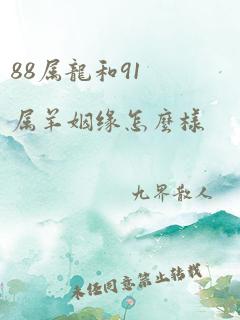 88属龙和91属羊姻缘怎么样