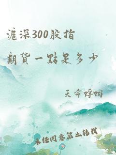 沪深300股指期货一点是多少