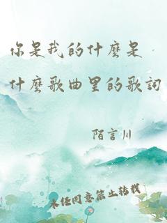 你是我的什么是什么歌曲里的歌词