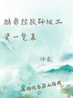 鹏鼎控股师级工资一览表