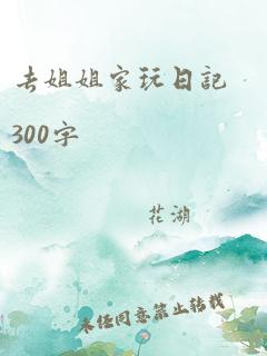 去姐姐家玩日记300字