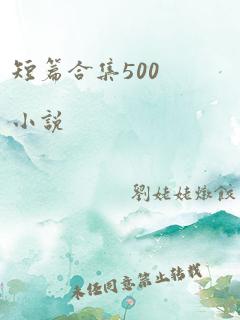 短篇合集500小说