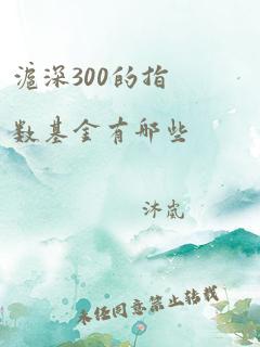 沪深300的指数基金有哪些