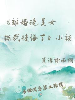 《离婚后,美女总裁后悔了》小说