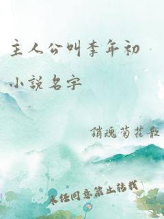 主人公叫李年初小说名字