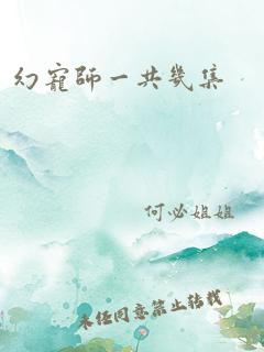 幻宠师一共几集