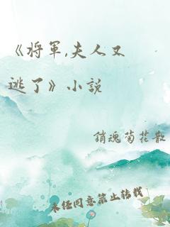 《将军,夫人又逃了》小说