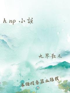 h np 小说