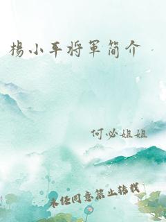 杨小平将军简介