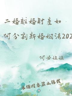 二婚离婚财产如何分割新婚姻法2023