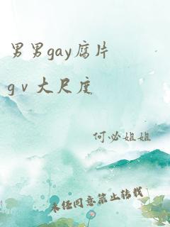 男男gay腐片gⅴ大尺度