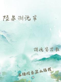 陆晏洲沈宁