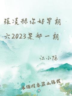 张凌赫你好星期六2023是哪一期