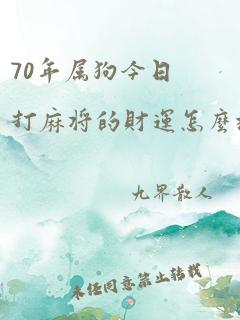 70年属狗今日打麻将的财运怎么样