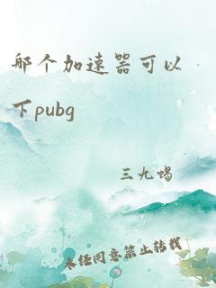 哪个加速器可以下pubg