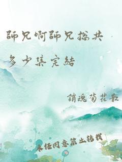 师兄啊师兄总共多少集完结