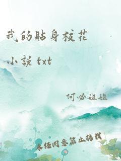 我的贴身校花 小说 txt