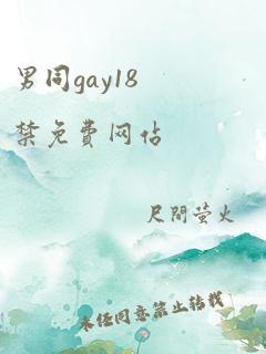 男同gay18禁免费网站