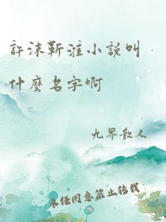 许沫靳淮小说叫什么名字啊