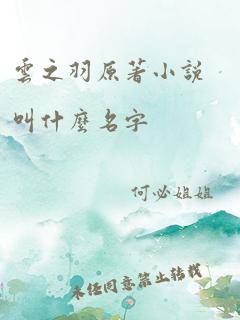 云之羽原著小说叫什么名字