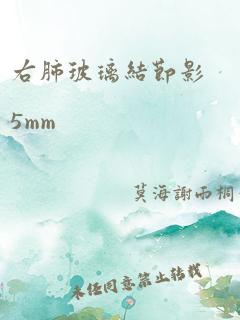 右肺玻璃结节影5mm