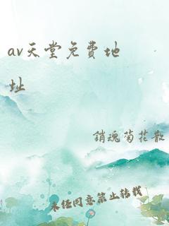 av天堂免费地址