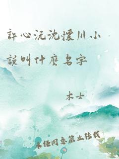 许心沅沈怀川小说叫什么名字