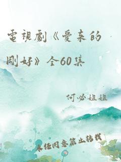 电视剧《爱来的刚好》全60集