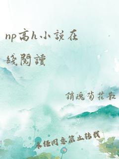 np高h小说在线阅读