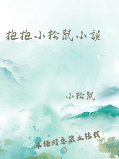 抱抱小松鼠小说