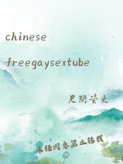 chinesefreegaysextube