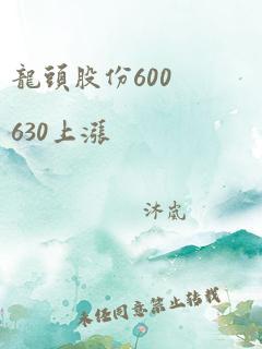 龙头股份600630上涨