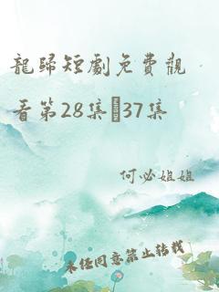 龙归短剧免费观看第28集–37集