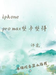 iphone pro max双卡双待