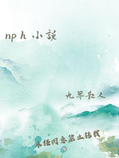 np h 小说