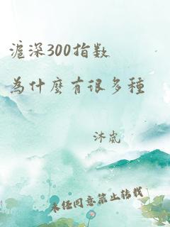 沪深300指数为什么有很多种