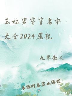 王姓男宝宝名字大全2024属龙