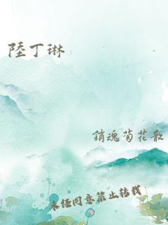 陆丁琳